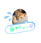 テヤンくん②（個別スタンプ：7）