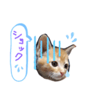 テヤンくん②（個別スタンプ：8）