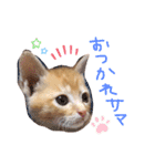 テヤンくん②（個別スタンプ：9）