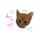 テヤンくん②（個別スタンプ：10）