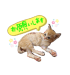 テヤンくん②（個別スタンプ：13）