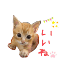 テヤンくん②（個別スタンプ：14）