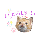 テヤンくん②（個別スタンプ：15）