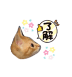 テヤンくん②（個別スタンプ：21）