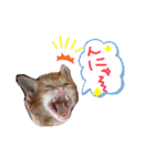テヤンくん②（個別スタンプ：23）