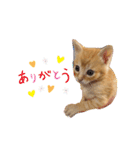 テヤンくん②（個別スタンプ：24）