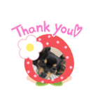チョコ4❤（個別スタンプ：9）