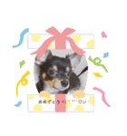 チョコ4❤（個別スタンプ：14）