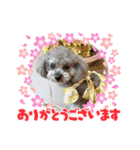 ハローりんちゃんスタンプ2（個別スタンプ：1）