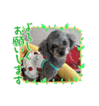 ハローりんちゃんスタンプ2（個別スタンプ：2）