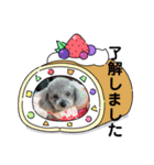 ハローりんちゃんスタンプ2（個別スタンプ：4）