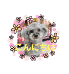 ハローりんちゃんスタンプ2（個別スタンプ：7）