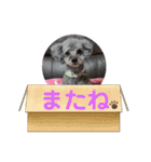 ハローりんちゃんスタンプ2（個別スタンプ：9）