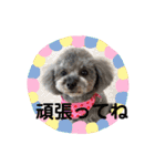 ハローりんちゃんスタンプ2（個別スタンプ：13）