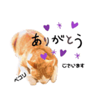 はるお祭り（個別スタンプ：11）