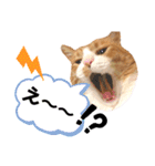 はるお祭り（個別スタンプ：13）