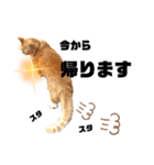 はるお祭り（個別スタンプ：17）