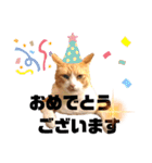 はるお祭り（個別スタンプ：19）