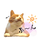 はるお祭り（個別スタンプ：20）
