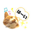 はるお祭り（個別スタンプ：28）
