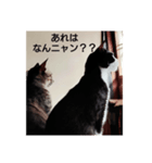 よかったどうぞ〜❤️♥️（個別スタンプ：6）