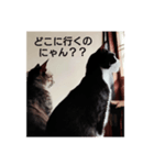 よかったどうぞ〜❤️♥️（個別スタンプ：7）
