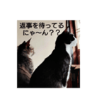 よかったどうぞ〜❤️♥️（個別スタンプ：8）