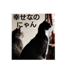 よかったどうぞ〜❤️♥️（個別スタンプ：10）