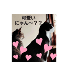 よかったどうぞ〜❤️♥️（個別スタンプ：12）