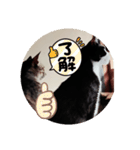 よかったどうぞ〜❤️♥️（個別スタンプ：14）