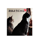 よかったどうぞ〜❤️♥️（個別スタンプ：15）