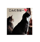 よかったどうぞ〜❤️♥️（個別スタンプ：16）