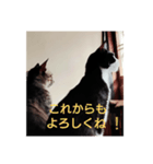 よかったどうぞ〜❤️♥️（個別スタンプ：18）