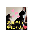よかったどうぞ〜❤️♥️（個別スタンプ：21）
