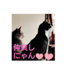 よかったどうぞ〜❤️♥️（個別スタンプ：24）