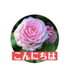 お花の贈り物（日常挨拶・敬語）（個別スタンプ：2）