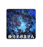 お花の贈り物（日常挨拶・敬語）（個別スタンプ：4）