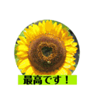 お花の贈り物（日常挨拶・敬語）（個別スタンプ：8）