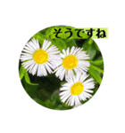 お花の贈り物（日常挨拶・敬語）（個別スタンプ：10）