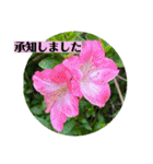 お花の贈り物（日常挨拶・敬語）（個別スタンプ：12）
