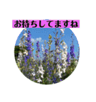 お花の贈り物（日常挨拶・敬語）（個別スタンプ：15）