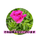 お花の贈り物（日常挨拶・敬語）（個別スタンプ：19）