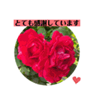 お花の贈り物（日常挨拶・敬語）（個別スタンプ：20）