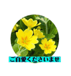 お花の贈り物（日常挨拶・敬語）（個別スタンプ：23）