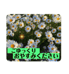 お花の贈り物（日常挨拶・敬語）（個別スタンプ：24）