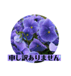 お花の贈り物（日常挨拶・敬語）（個別スタンプ：25）
