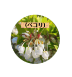 お花の贈り物（日常挨拶・敬語）（個別スタンプ：28）