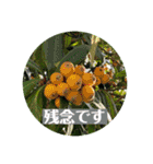 お花の贈り物（日常挨拶・敬語）（個別スタンプ：30）
