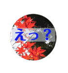 お花の贈り物（日常挨拶・敬語）（個別スタンプ：32）
