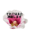 お花の贈り物（日常挨拶・敬語）（個別スタンプ：34）